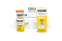 Testosterone Propionate Injection 10ml